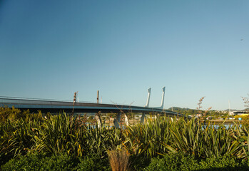 Bright morning atmosphere with blue sky around Te Matau A Pohe bridge. in Whangarei, New Zealand.
