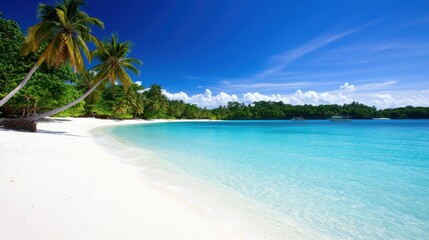 Tranquil Tropical Beach Scene