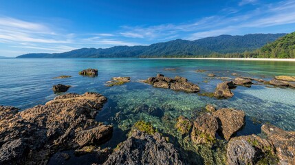 Tranquil Tropical Beach