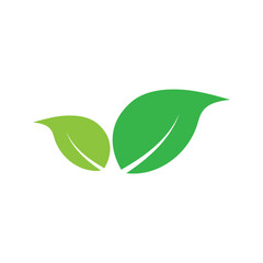 Leaf graphic design logo template