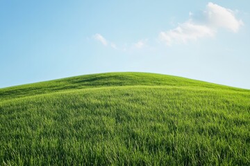 Obraz premium Lush green hill under sunny sky, peaceful landscape