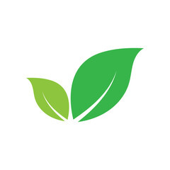 Leaf graphic design logo template