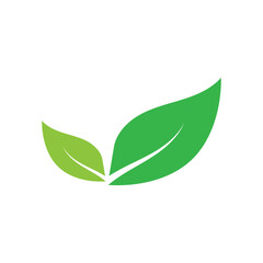 Leaf graphic design logo template