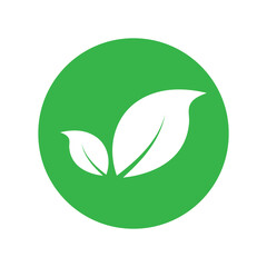 Leaf graphic design logo template