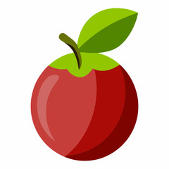 camu vector illustration