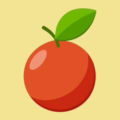 camu vector illustration