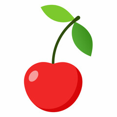 vector illustration of an cherry
