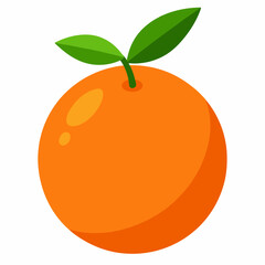 vector illustration of an clementine