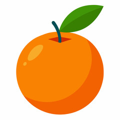 vector illustration of an clementine