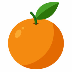 vector illustration of an clementine
