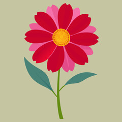 vector illustration of a coreopsis flower
