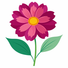 vector illustration of a coreopsis flower