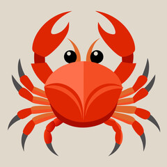 red crab on white background