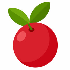 cranberry vector illustration
