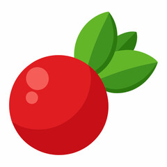cranberry vector illustration