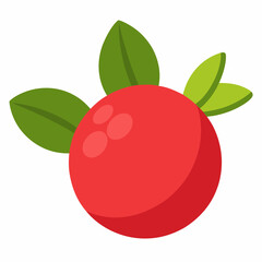 cranberry vector illustration