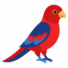 vector illustration of a crimson rosella bird