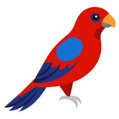 vector illustration of a crimson rosella bird