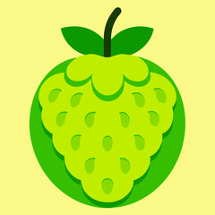 vector illustration of an custard apple
