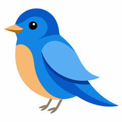 eastern blue bird vector illustratio