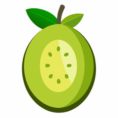 vector illustration of an feijoa fruit