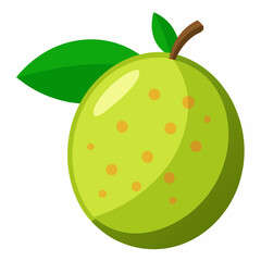vector illustration of an feijoa fruit