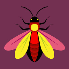 vector illustration of a firefly