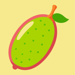 vector illustration of an finger lime