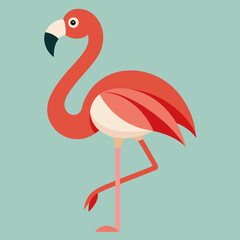 flamingo vector illustration
