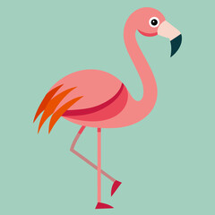 flamingo vector illustration