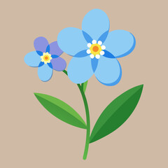 vector illustration of a forget me not flower