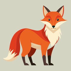 Obraz premium red fox vector illustration
