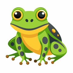 vector illustration of an green frog