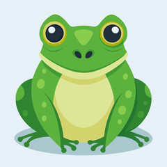 vector illustration of an green frog