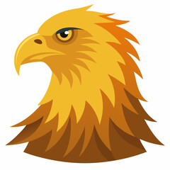 golden  eagle head vector illustration