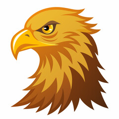 golden  eagle head vector illustration