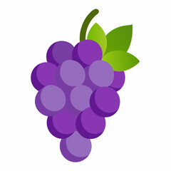 vector illustration of grapes