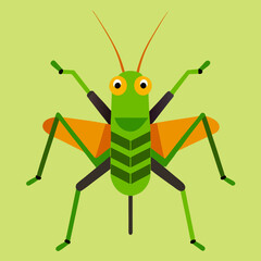 vector illustration of a grasshopper