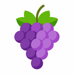 vector illustration of grapes