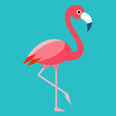 flamingo vector illustration