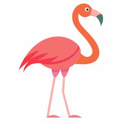 flamingo vector illustration