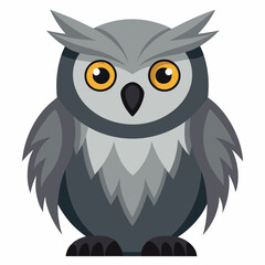 great gray owl on white background