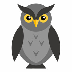 great gray owl on white background