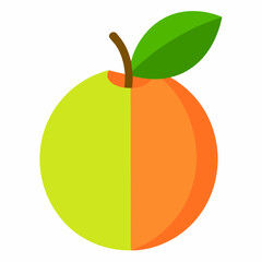 vector illustration of an guava
