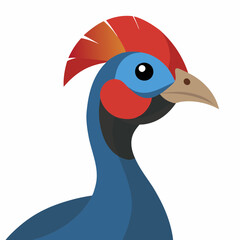 helmeted guineafowl isolated on white background