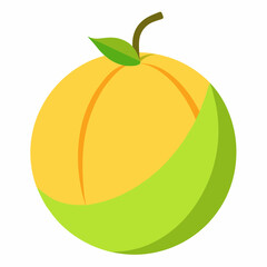 vector illustration of an honeydew