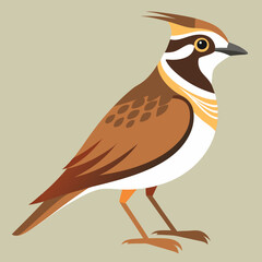 Fototapeta premium vector illustration of an horned lark