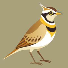 vector illustration of an horned lark