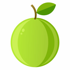 indian gooseberry vector illustration