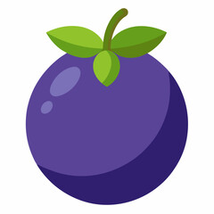 vector illustration of an jabuticaba